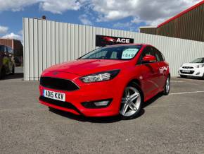 FORD FOCUS 2015 (15) at Ace Motor Hub Ltd Scunthorpe